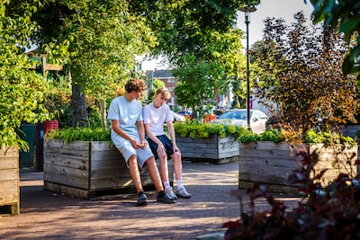 Het Bewegend Bos in Dordrecht droeg twee jaar bij aan meer groen, maar stopt nu met bewegen