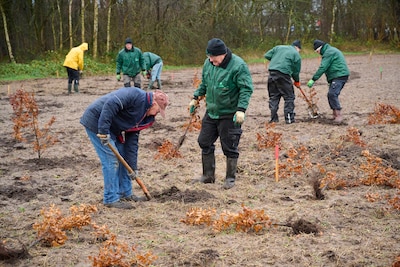 Image related to the article