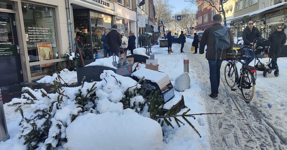 Geen kerstbomeninzameling: dit kun je doen met jouw afgedankte boom