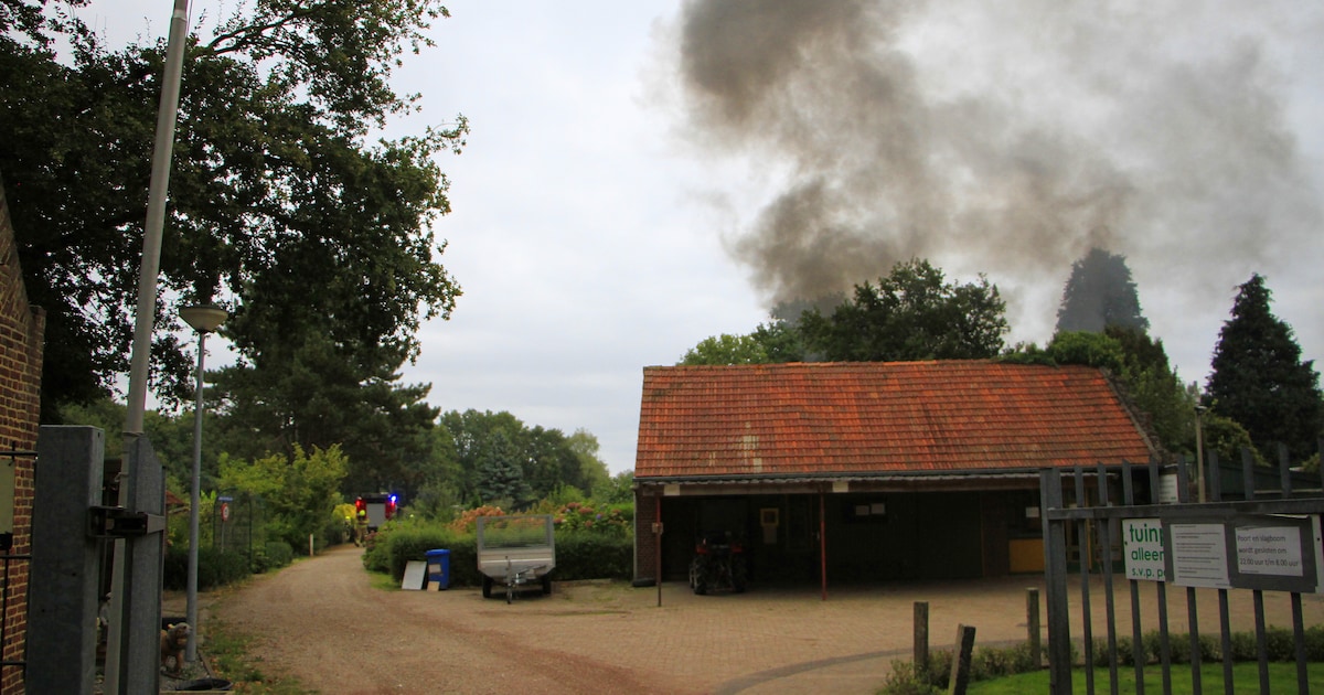 Tuinhuis gaat in vlammen op bij brand in Weert, rookpluim goed zichtbaar