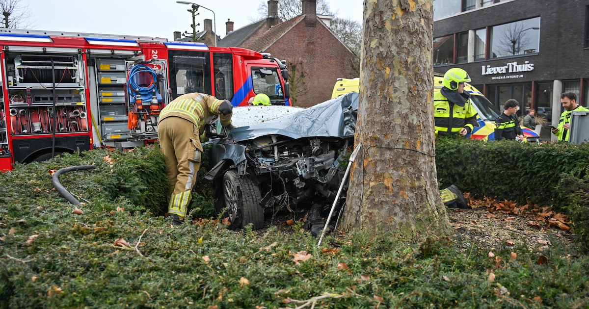 Auto zwaar beschadigd na flinke botsing tegen boom op rotonde in Terheijden