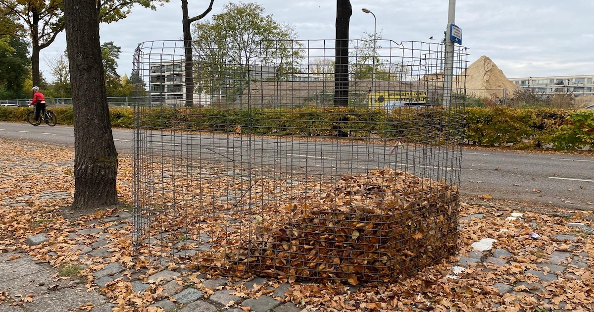 Gemeente Beesel plaatst weer bladkorven in straten met veel bomen