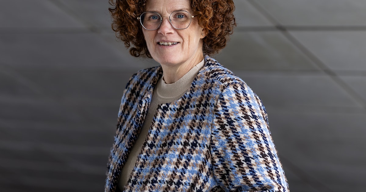 Van kinderwagenroute tot vuil prikken: lezers komen met ideeën voor stunts voor burgemeester