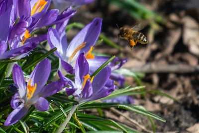 Image related to the article