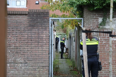 Overvaller gooit stoeptegel door de ruit bij oudere Haagse vrouw (73) om haar te beroven