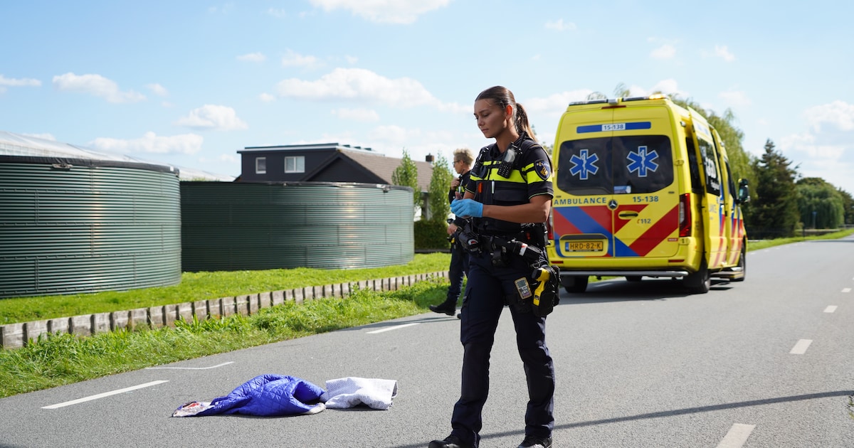 Fietsster gewond na botsing met bakwagen in Berkel en Rodenrijs