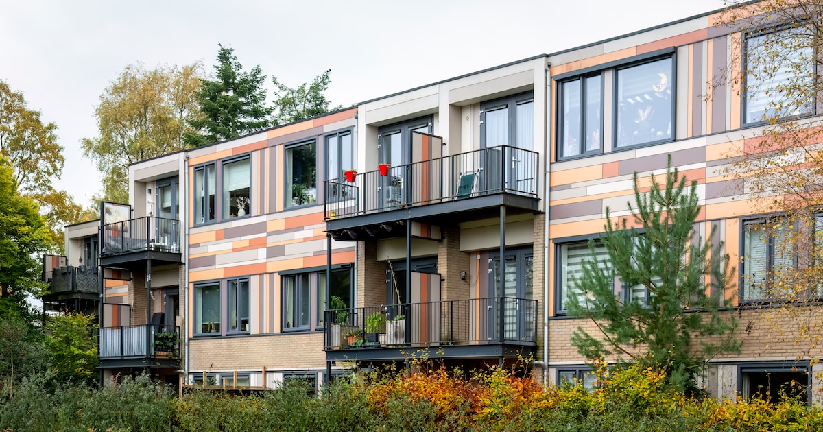 Ermelo onderzoekt 35 locaties voor bijzondere woningbouw: ‘Elke optie aangrijpen’