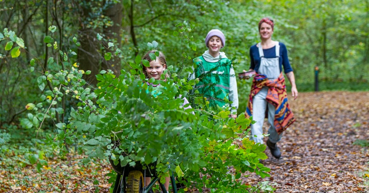 Assen viert 25 jaar Natuurwerkdag met activiteiten