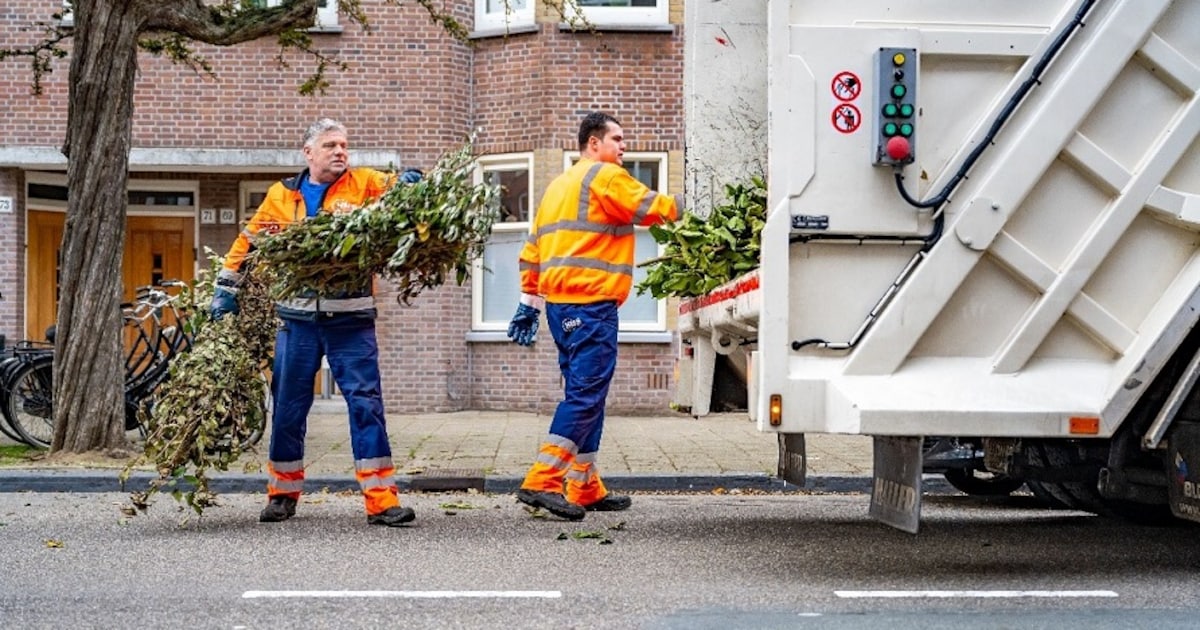 Snoeihout in Bunnik tot 27 maart gratis opgehaald