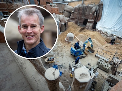 Burgers’ Zoo hoop dat bezoekers na verbouwing Desert wél vinden: ‘Zonde, het is het mooiste dat we h