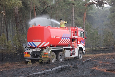 Image related to the article