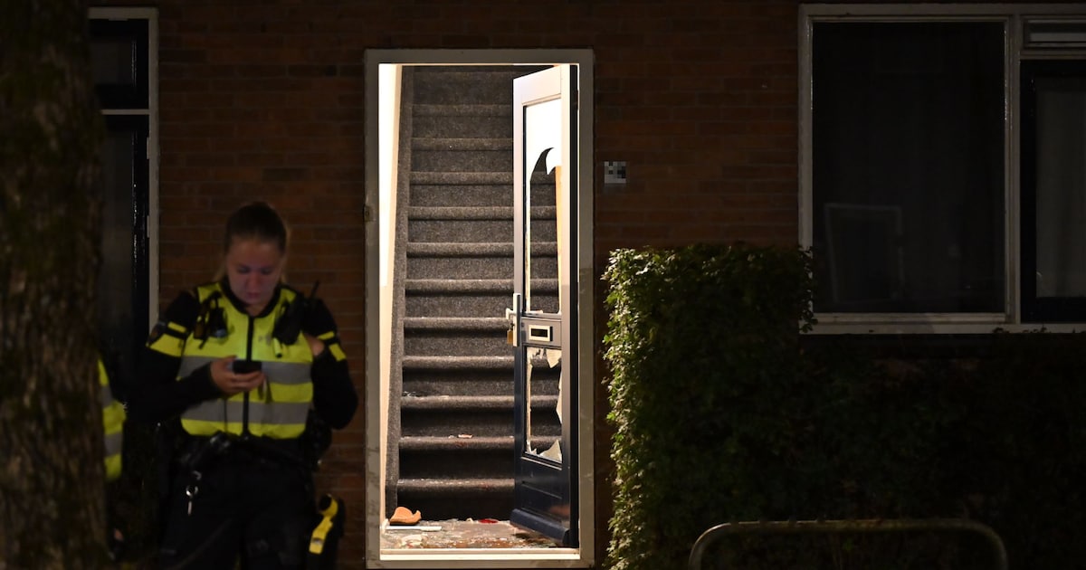 Ruzie in Steenwijk: twee mannen naar het ziekenhuis, voordeur woning vernield