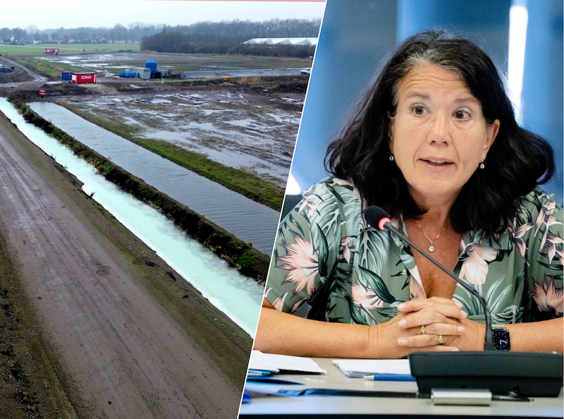 Terrein staalslakken te Gorinchem. / Afke van Rijn.