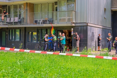 Image related to the article