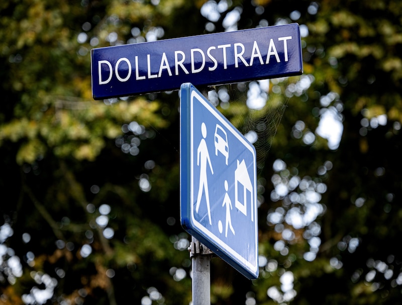 Tijn werd voor het laatst gezien op de Dollardstraat in Alkmaar.