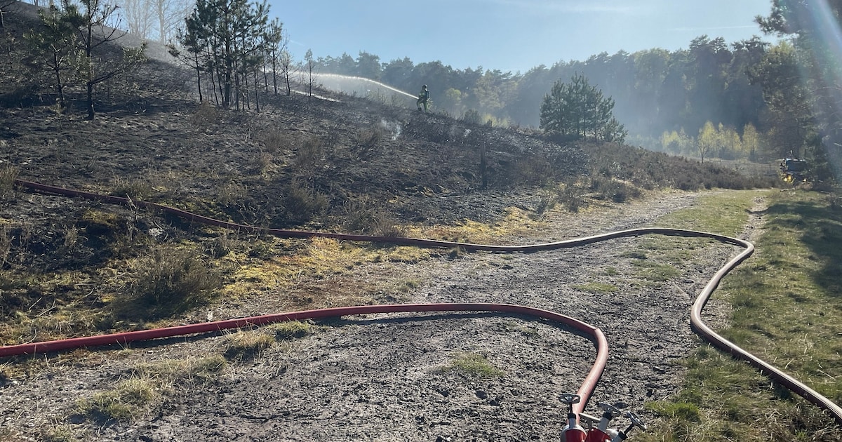 Defensie legt grondwaterputten aan op Brunssummerheide voor bluswater