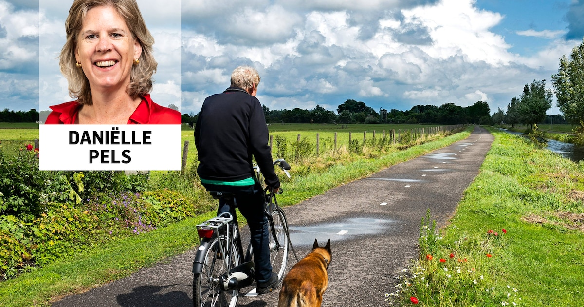 De reflex om in deze zaak geld terug te halen is kortzichtig