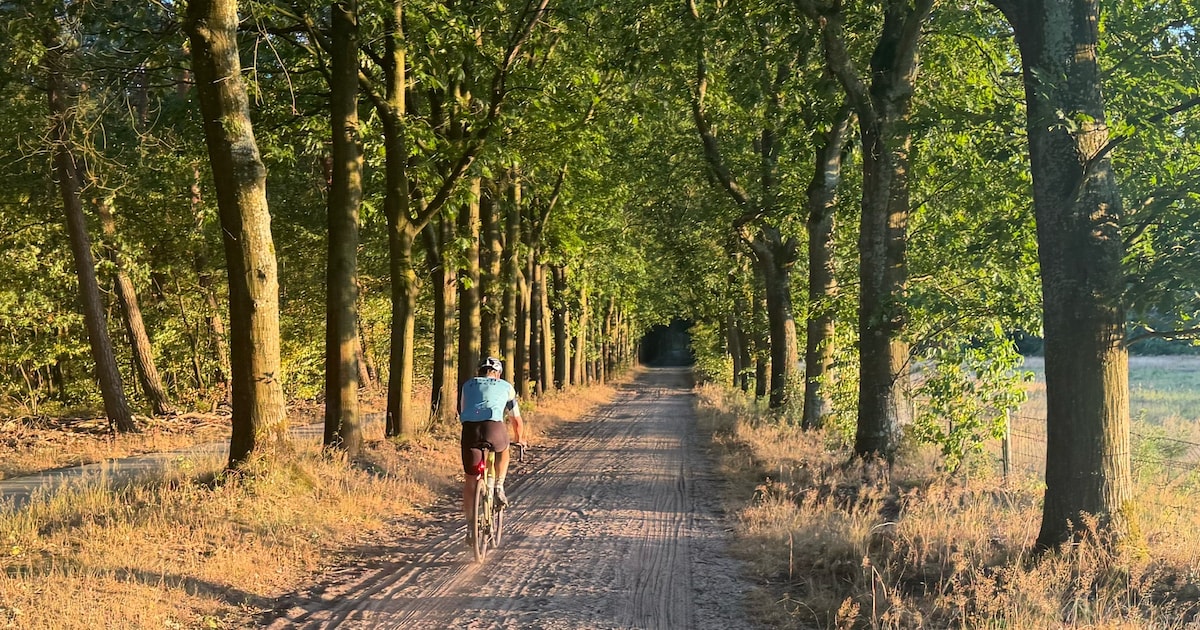 Ladies'Circle 85 Suydevelt wandelt etappe van Cultuurpad Coevorden