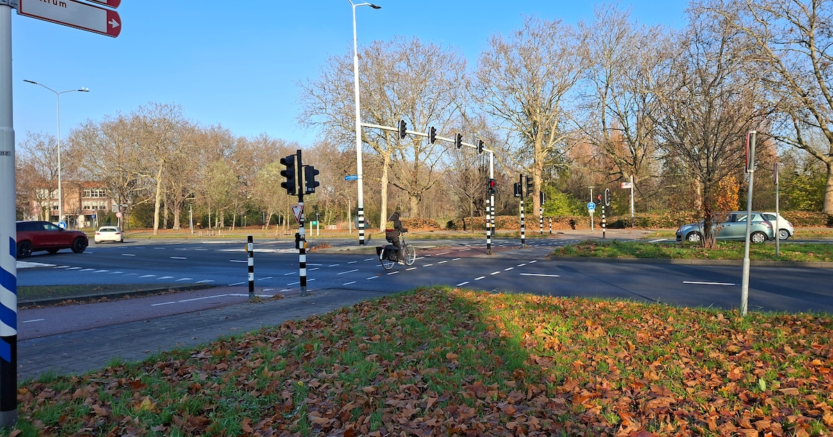 Fietstunnel in Eindhoven kost 12,4 miljoen en 46 bomen: ‘Compenseren maakt verlies niet goed’