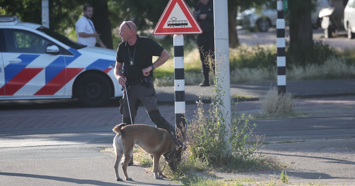 Mannen met bivakmutsen op gooien steen door ruit van huis