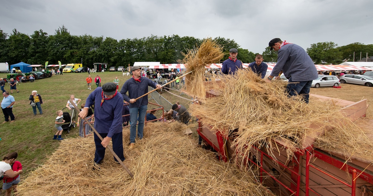 Traditioneel Oogstfeest in Oldebroek staat voor de deur