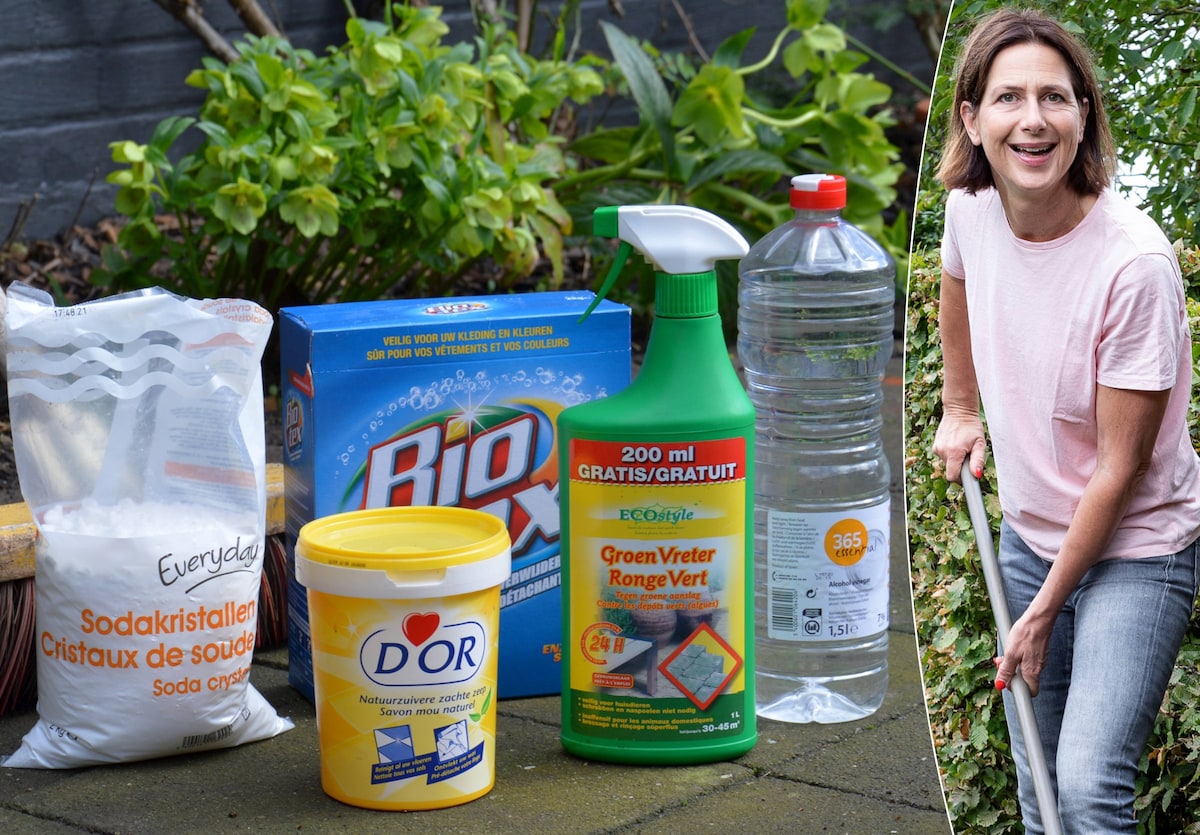 de tuinexpert groene aanslag