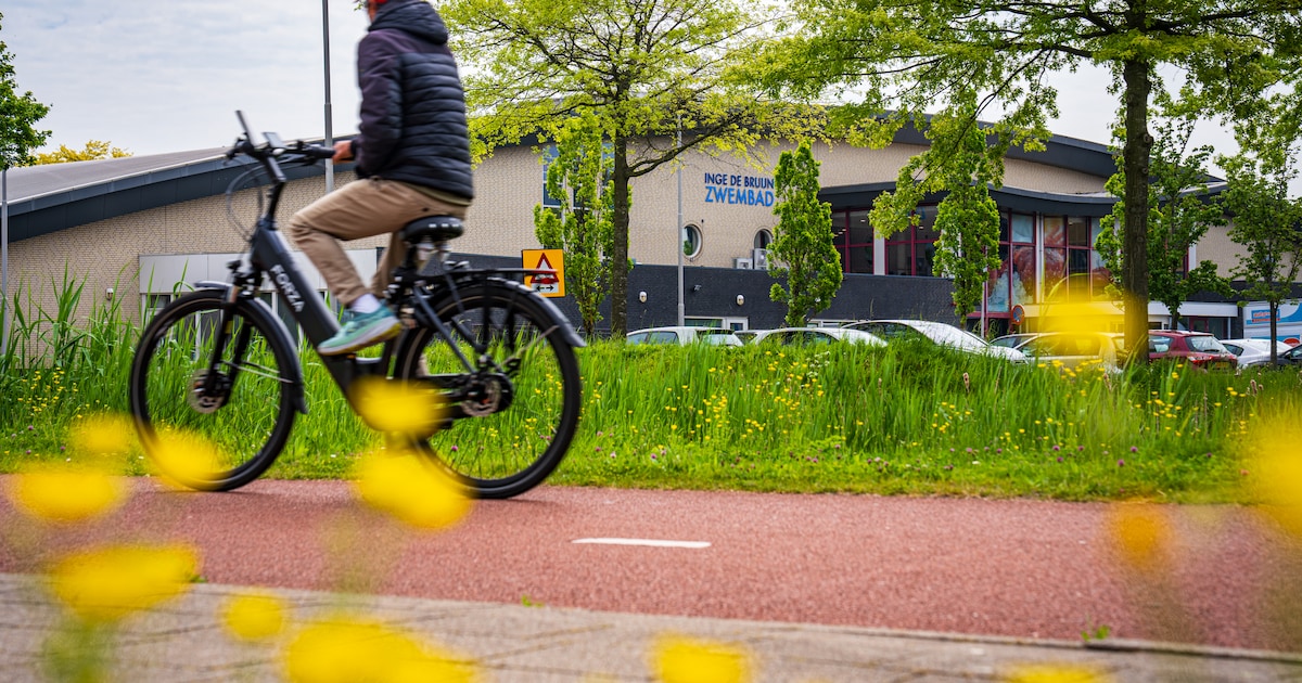 Ondergelopen kelder oorzaak van schade aan Inge de Bruijn zwembad