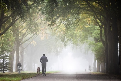 Na warm einde van de maand start oktober een stuk koeler