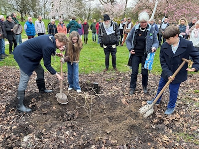 Vredesboom geplant in Wageningen als symbool voor hoop en vrede