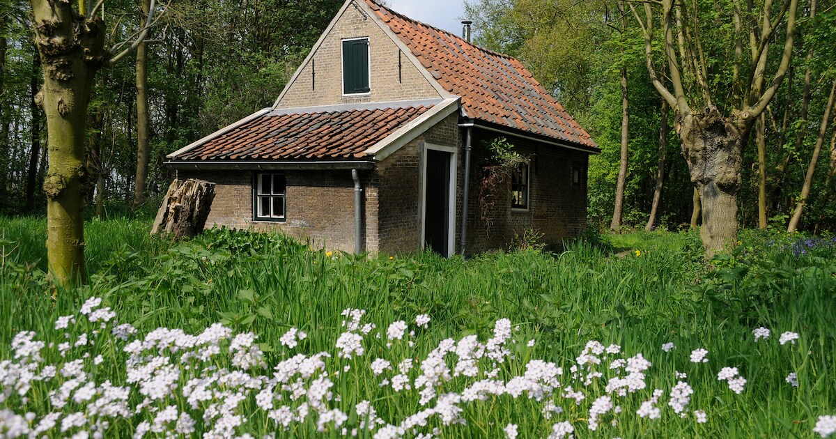 Gidsen nemen je mee door eeuwenoude eendenkooi in Midden-Delfland