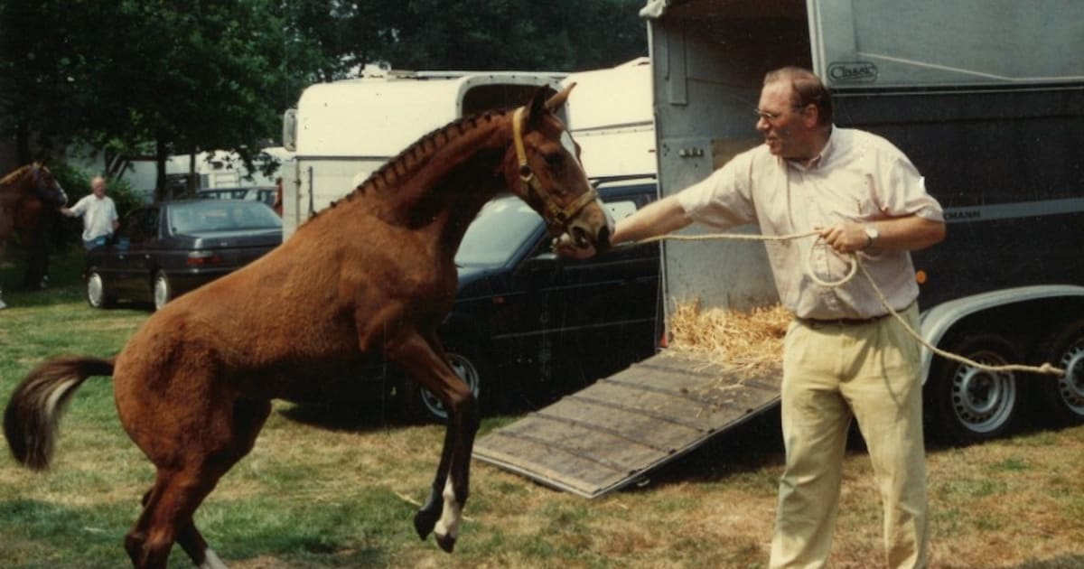 Dierenarts Geert (81) was zijn leven lang tussen de paarden: ‘Zijn liefde voor dieren was groot’