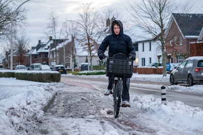 Image related to the article