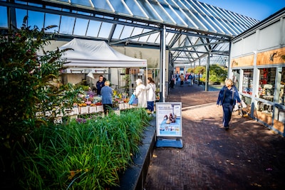 Cadeautje en lieve kaartjes voor geschorste huisarts in Rhoon: ‘Word er een beetje emotioneel van’