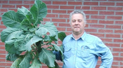 Humphrey Ottenhof toont boerenkoolschilderijen in Zevenaar