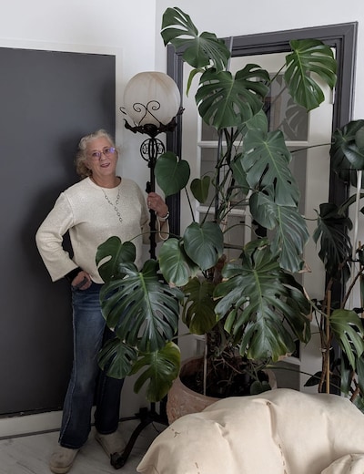 Lizeth houdt van zelfredzame planten: ‘Als ze het niet doen, horen ze hier ook niet thuis’