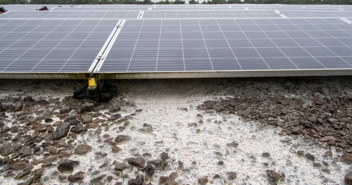 Stort Doonweg moet 1,5 miljoen betalen voor zonnepanelen, maar had er geen geld voor opzijgezet