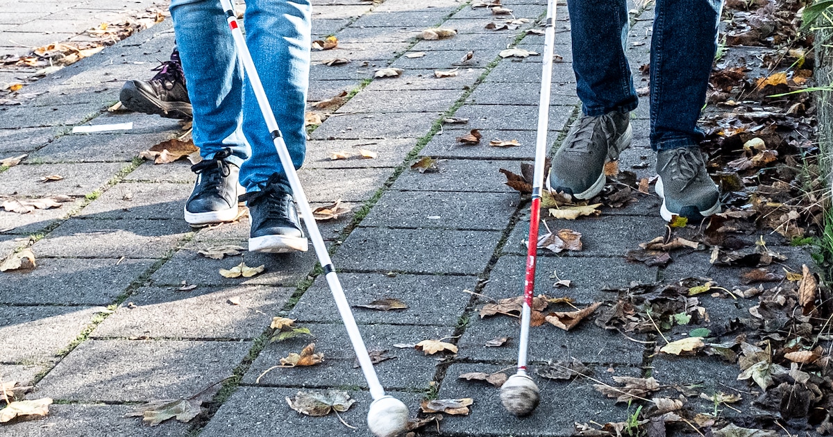 Tryater presenteert resultaten pilot toegankelijkheid in Leeuwarden