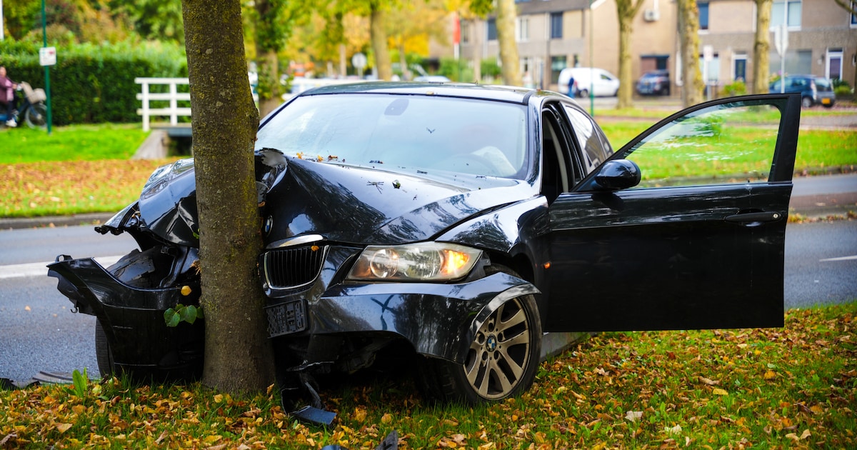 Automobilist rijdt tegen boom in Bunschoten-Spakenburg