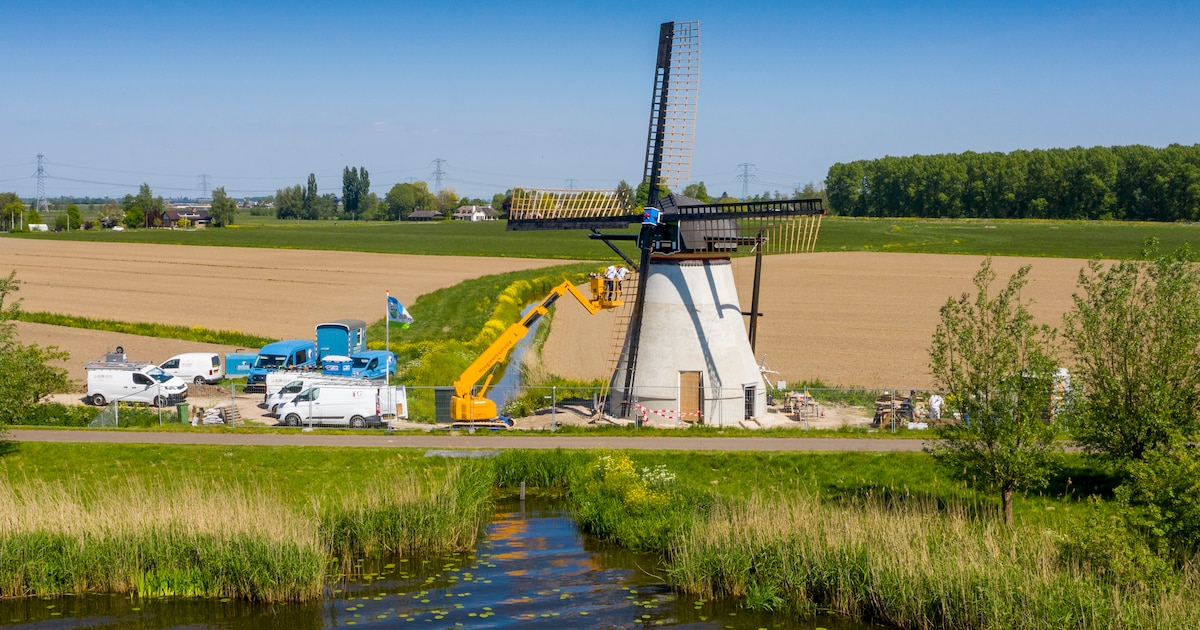 Molenstichting wil dat gemeente in actie komt tegen te hoge begroeiing bij molens