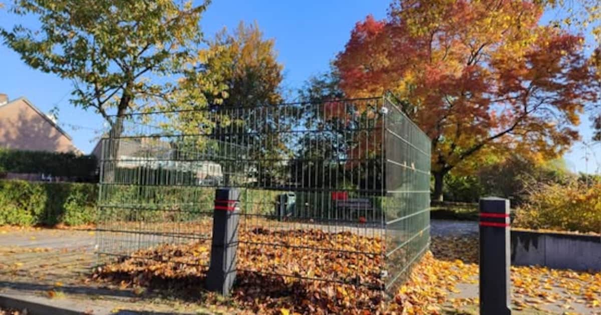 Bladhekken staan weer op verschillende plekken in gemeente Tynaarlo