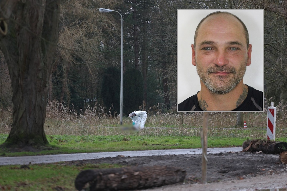 Piotr werd dood gevonden langs wandelpad, nu dreigt zijn voormalige vriend  18 jaar de cel in te gaan | Binnenland | AD.nl