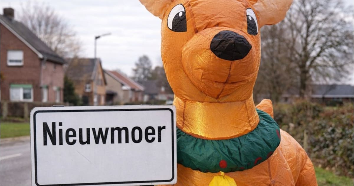 Dit is ‘Rudi’, het ‘rendier’ dat een heel dorp in Kalmthout aan het stelen zet