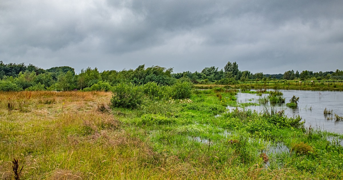 De Lende kronkelt weer na hermeandering bij Peperga