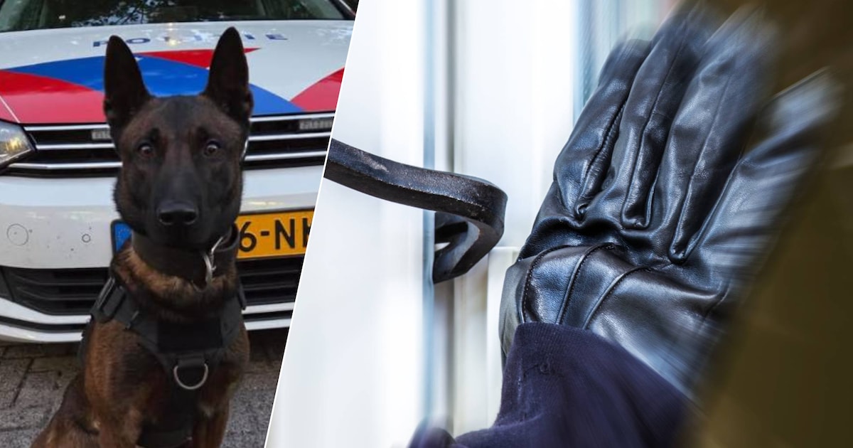 Alerte buurt en politiehond voorkomen woninginbraak in Reeuwijk, twee verdachten aangehouden