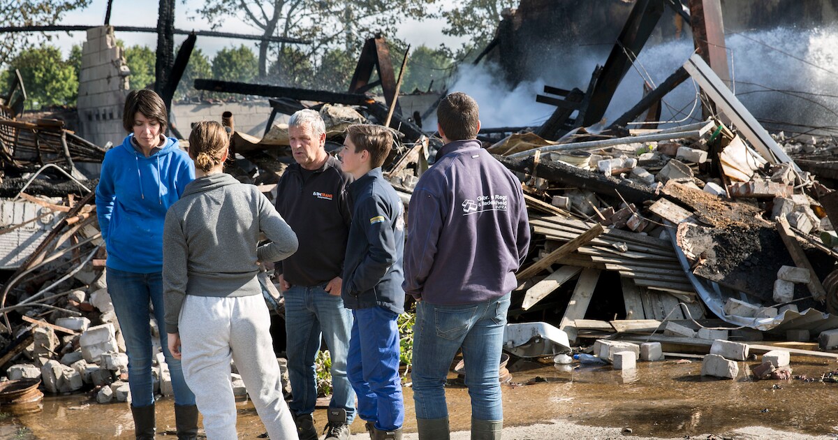 Oorzaak grote brand in Piershil blijft onbekend