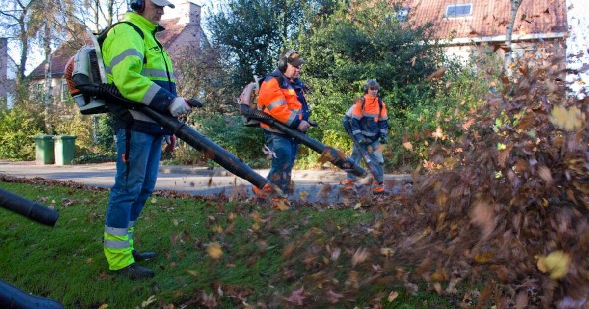 Gemeente Soest start in november met het opruimen van bladeren