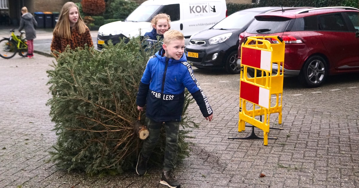 Gemeente Veendam haalt vanaf maandag kerstbomen op