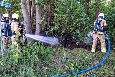 Kleine bosbrand aan Kuipersdwarsweg in Kring van Dorth snel geblust