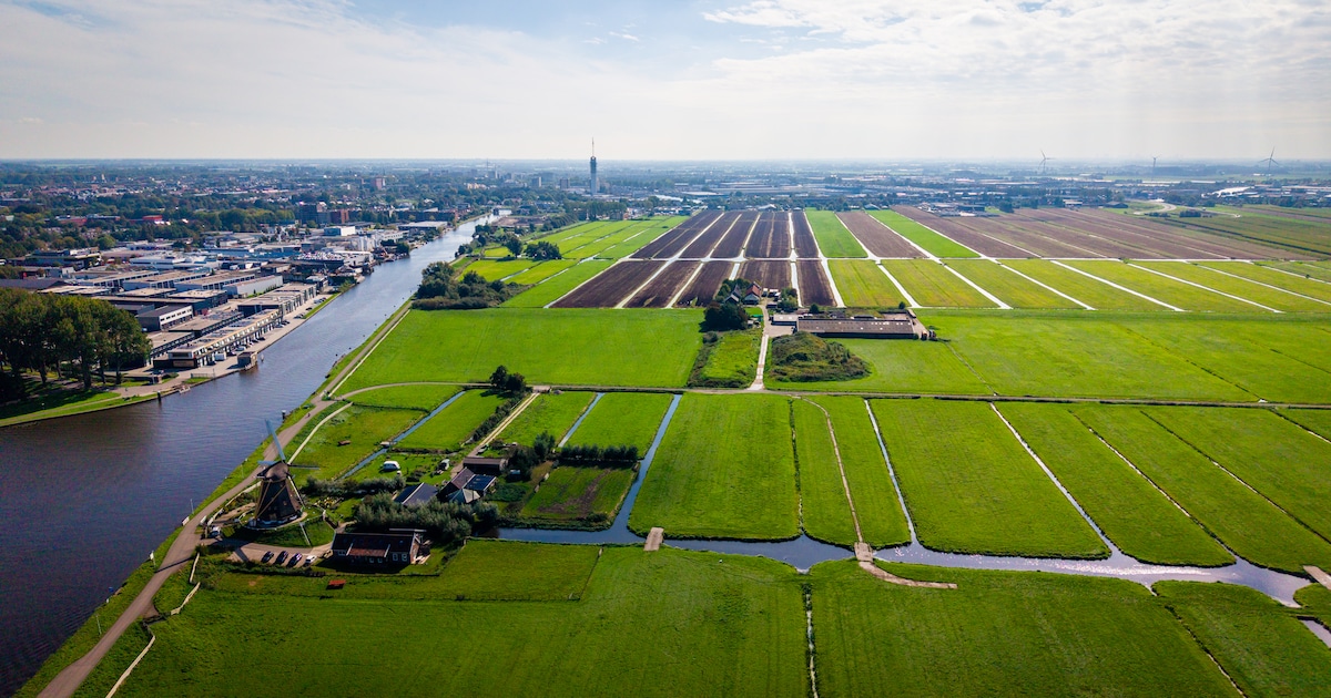Gemeenteraad Alphen aan den Rijn stelt omgevingsplan voor Gnephoek vast