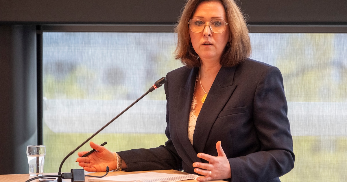 Nieuwe poging tot samenwerking in versnipperde Vlissingse raad mislukt, raadsagenda geschrapt